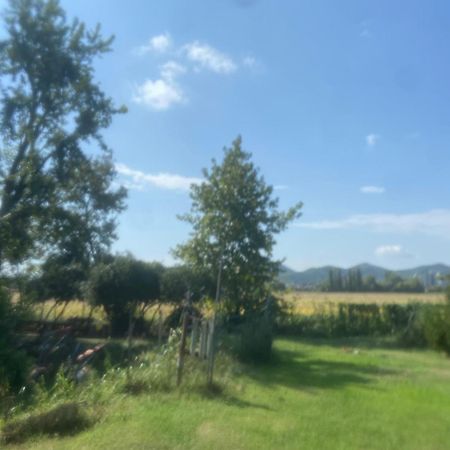 B&B Dora e Flavio Country Rooms Montegrotto Terme Esterno foto