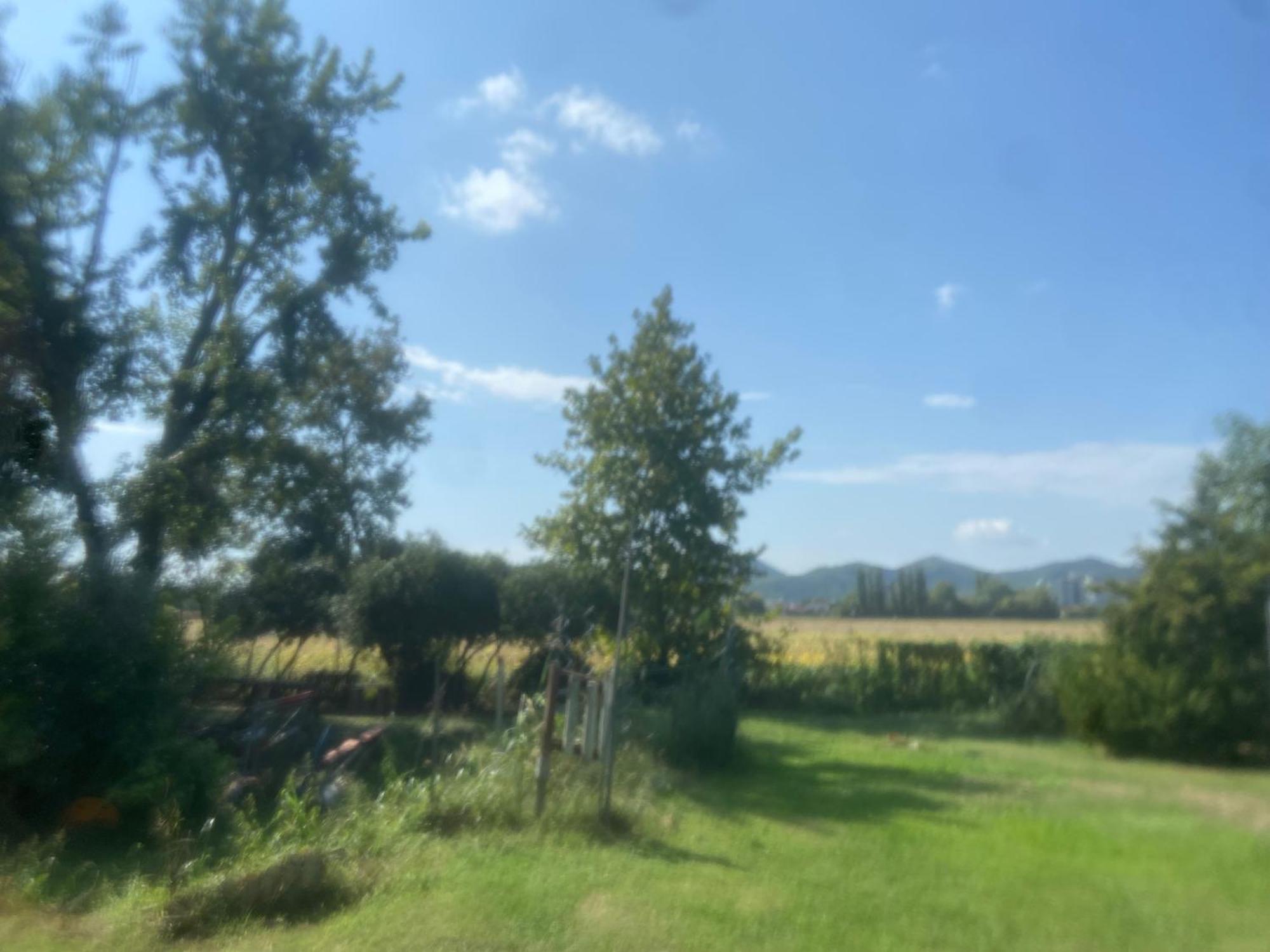 B&B Dora e Flavio Country Rooms Montegrotto Terme Esterno foto