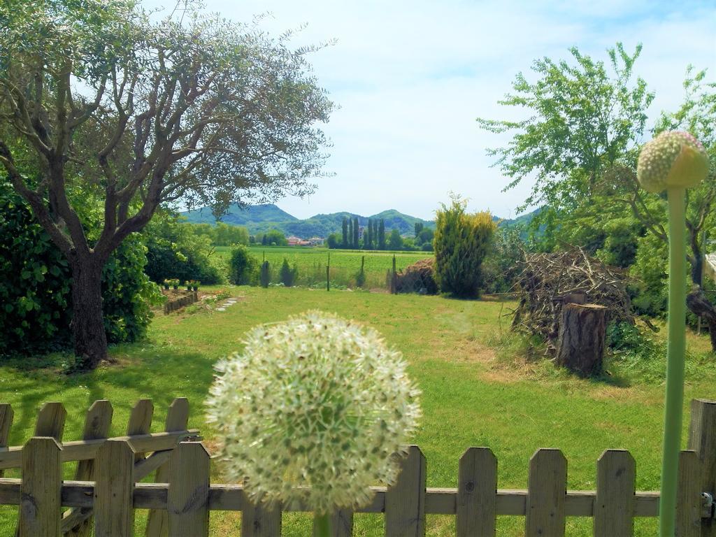 B&B Dora e Flavio Country Rooms Montegrotto Terme Esterno foto